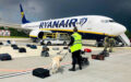 A Ryanair-vezér szerint egyesülnie kellene az easyJetnek és a Wizz Airnek